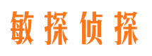 莱城外遇调查取证